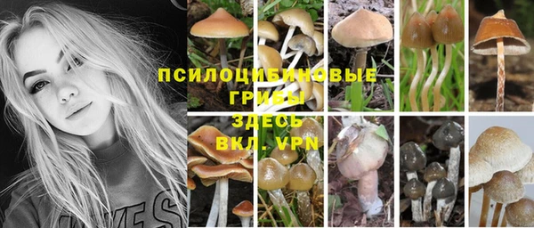 метамфетамин Богданович