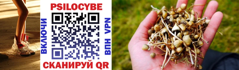 Галлюциногенные грибы прущие грибы  где найти   Великие Луки 