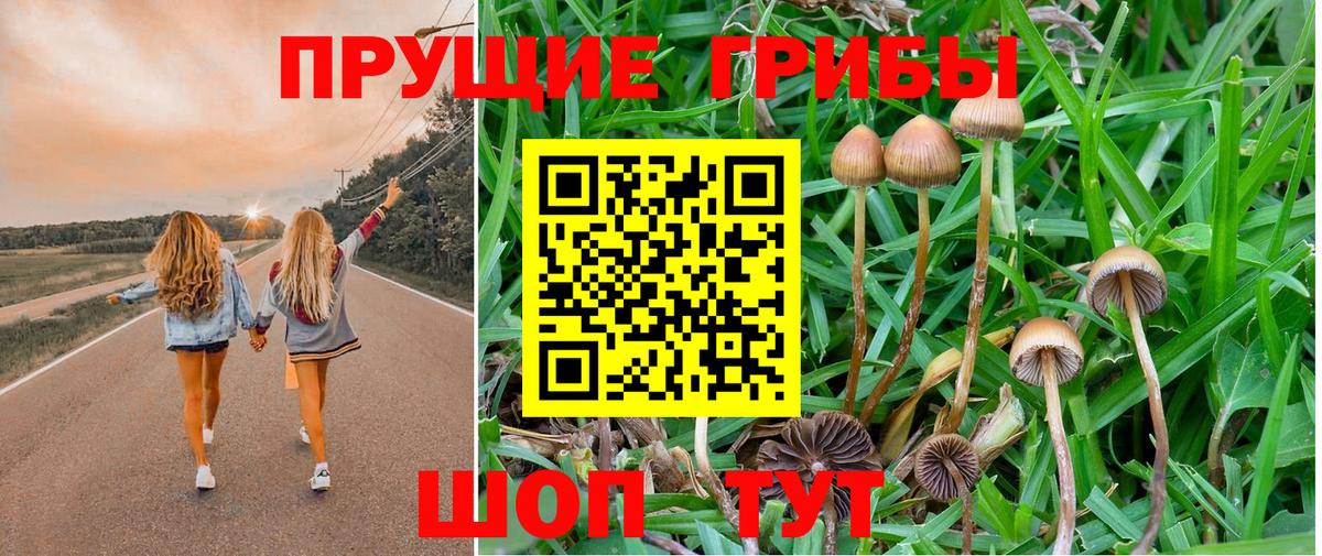 Псилоцибиновые грибы MAGIC MUSHROOMS Великие Луки